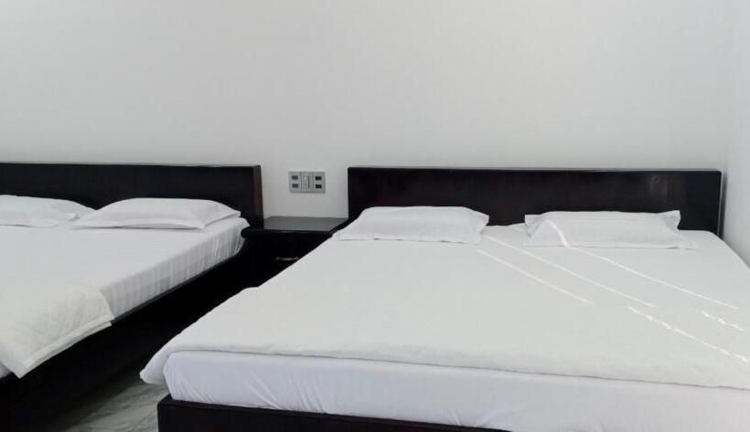 اتاق استاندارد چهار تخته, Oasis