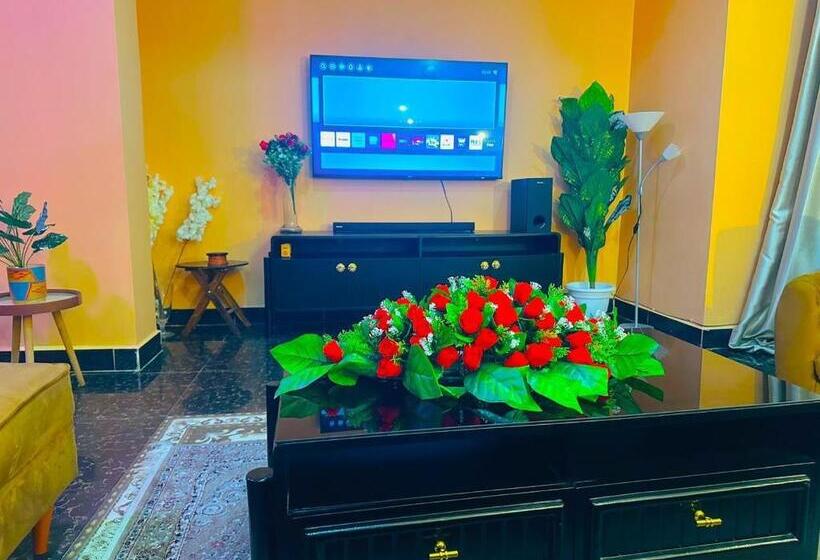 اتاق اکونومی, The Central Heartbeat Haven Intercity