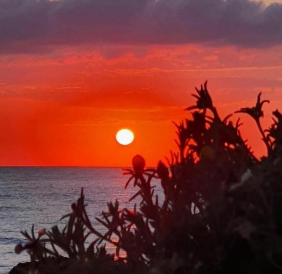 Апартаменты 1 Спальня Нижний Этаж, Bloom