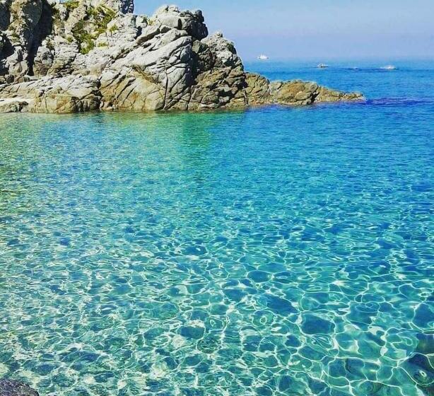 Апартаменты Deluxe 1 Спальня, Bloom