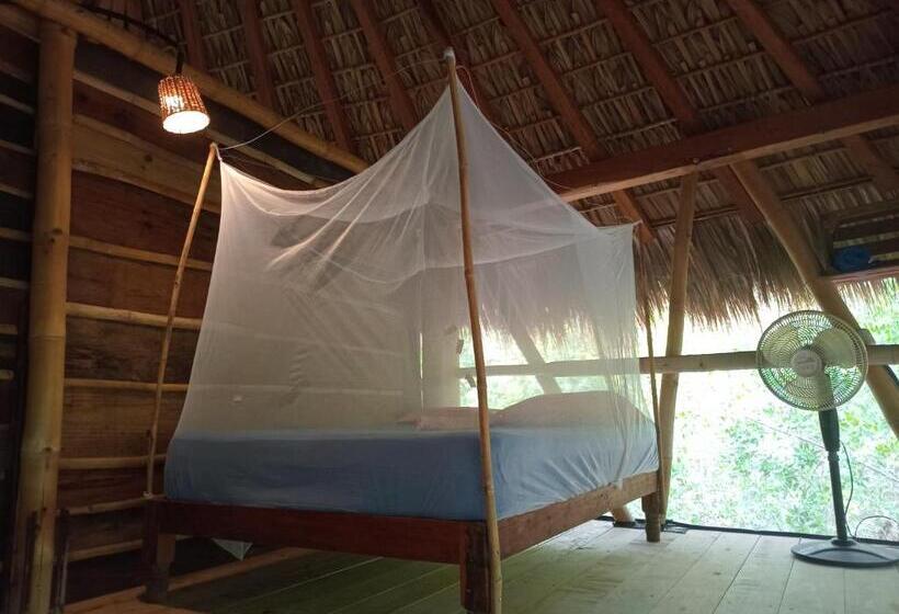 Standard-huone Puutarhanäkymä, Eco Hostal Tonatiuh