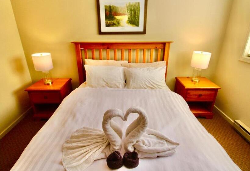 اتاق استاندارد, Timberline Condos Aspen Building