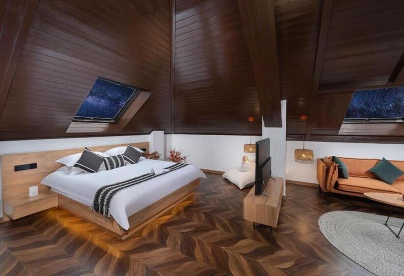 סוויטה, Yiwu Holly