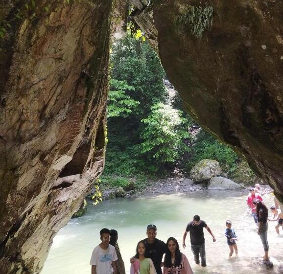 带大床的豪华间, Tirthan View Homestay