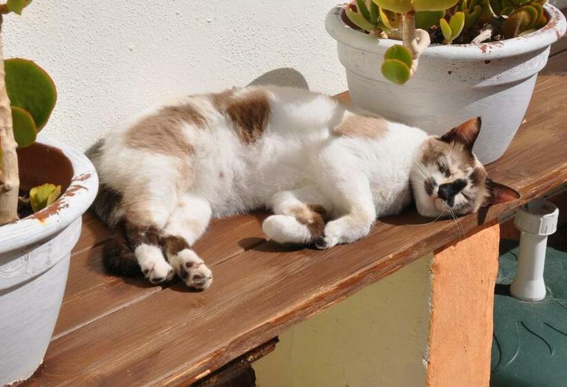 Номер Стандарт, Villa Agnese