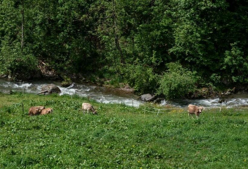 غرفة قياسية, Chalet Genziana