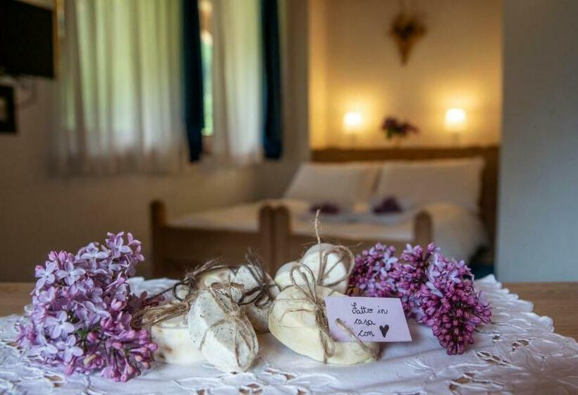 Номер Стандарт, Chalet Genziana