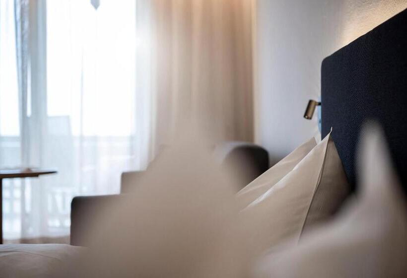 Номер Стандартный с Видом, Erzherzog Johann