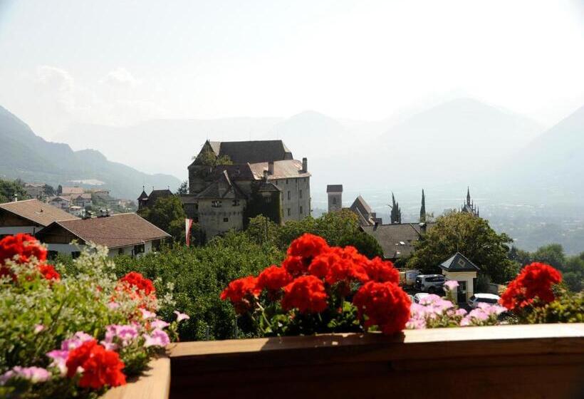 Номер Стандартный с Видом, Erzherzog Johann