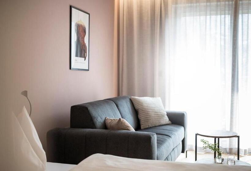 マウンテンビュースタンダードルーム, Erzherzog Johann