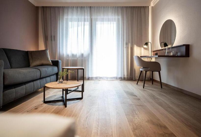 マウンテンビュースタンダードルーム, Erzherzog Johann