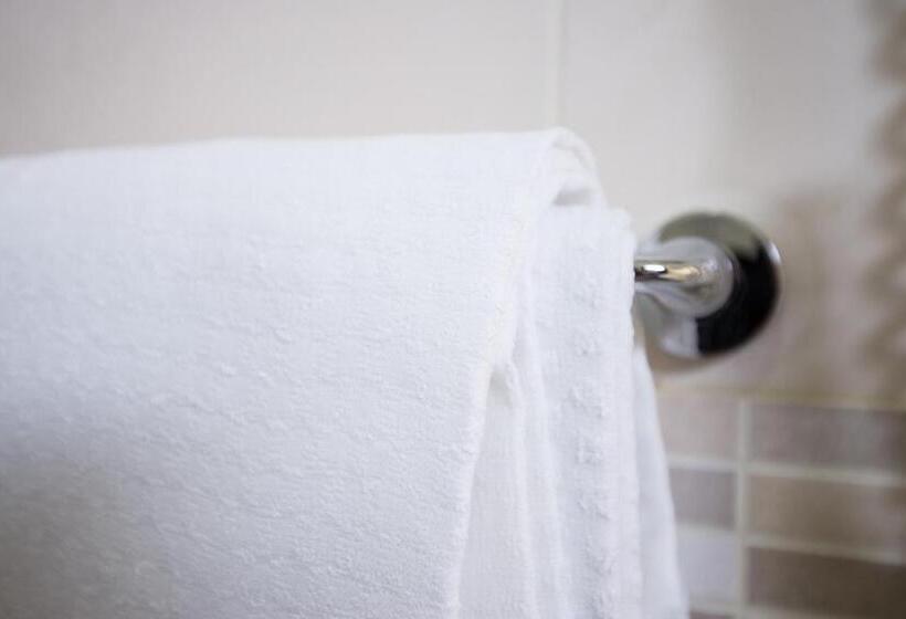 スタンダードルーム, Kontiki