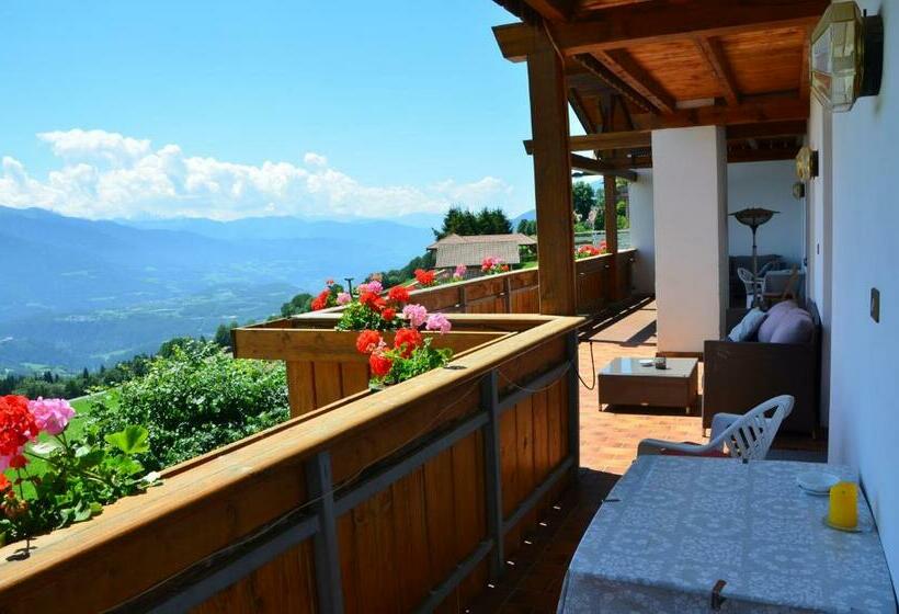 חדר סטנדרט, Pension Schifferegger