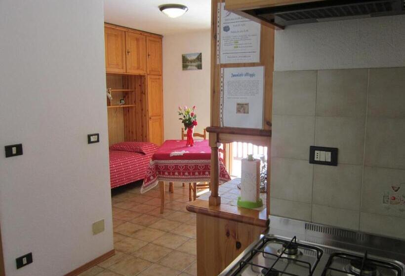 شقة غرفة واحدة, Residence Delapierre