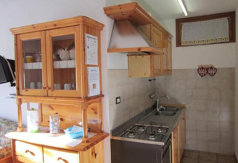 شقة غرفة واحدة, Residence Delapierre