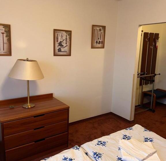 חדר סטנדרט, Pohostinství V Holi