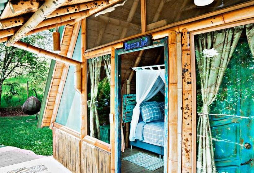 バルコニー付きデラックスルーム, Boscaje Solarpunk Habitat