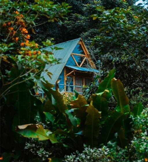 Номер Deluxe с Балконом, Boscaje Solarpunk Habitat