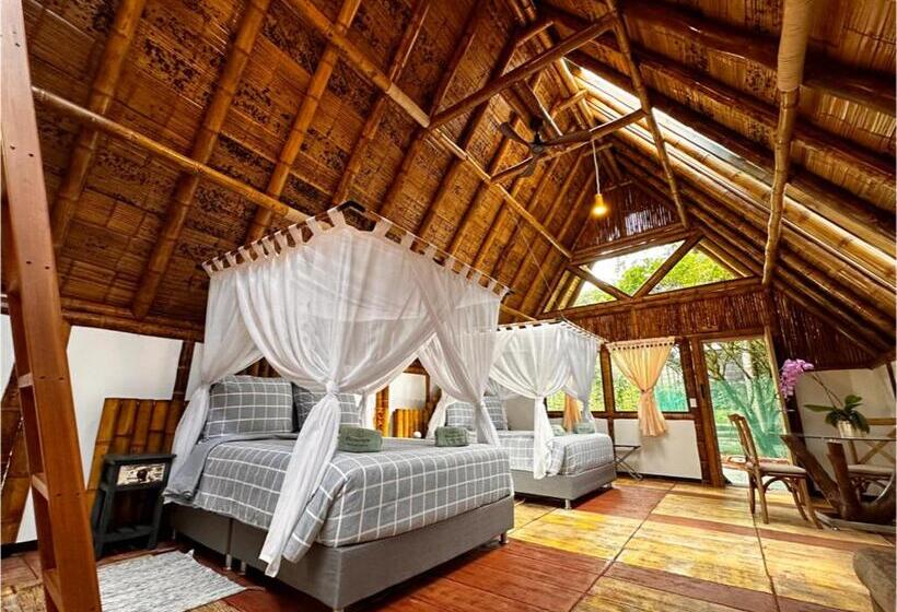 デラックスファミリールーム, Boscaje Solarpunk Habitat