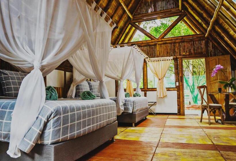 デラックスファミリールーム, Boscaje Solarpunk Habitat