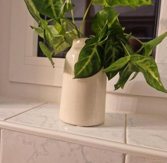 آپارتمان 1 خوابه با بالکن, House Olive Garden Strunjan