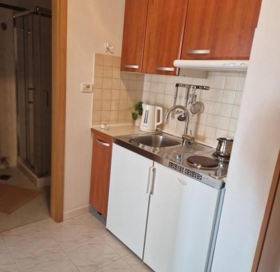 آپارتمان 1 خوابه با بالکن, House Olive Garden Strunjan