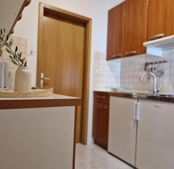 آپارتمان 1 خوابه با چشمانداز دریا, House Olive Garden Strunjan