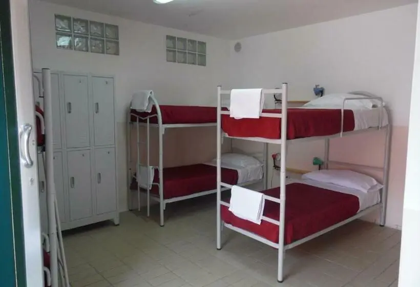 ルームシェアのワンベッド, Agorà Hostel