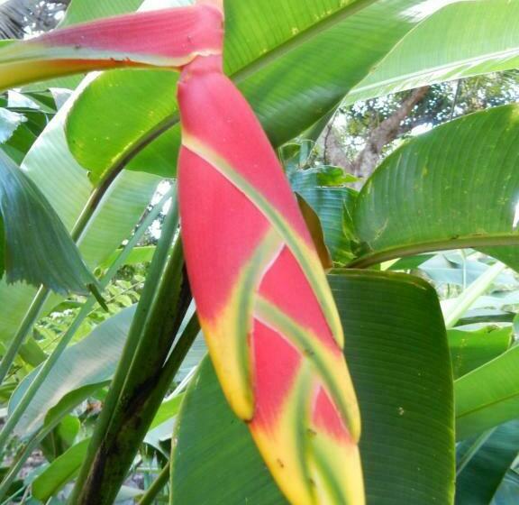 غرفة قياسية, Sarl Mayoume