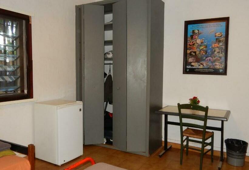 غرفة قياسية, Sarl Mayoume