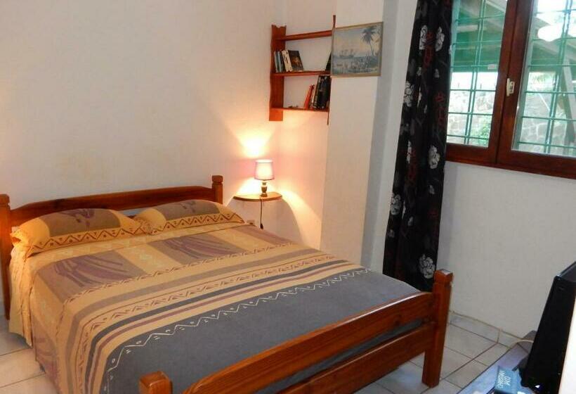 شقة غرفة واحدة مزودة بتراس, Sarl Mayoume