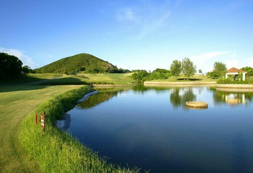 اتاق استاندارد با تخت بزرگ, Grand Coloane Resort