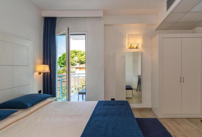 غرفة كلاسيكية, Central Park