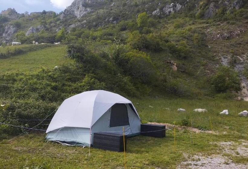 Standard Tent, Gite D étape De Roquefixade