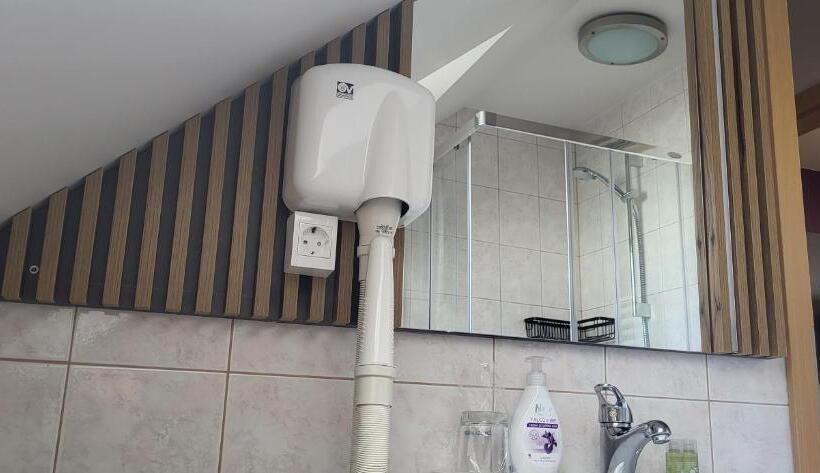 اتاق استاندارد, Rooms & Apartments Kepic, Airport Accomodation