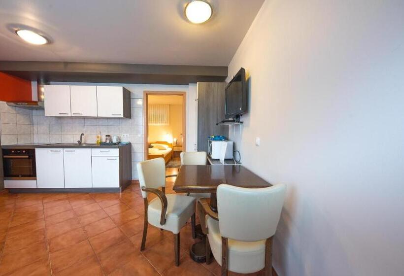 آپارتمان 1 خوابه, Rooms & Apartments Kepic, Airport Accomodation