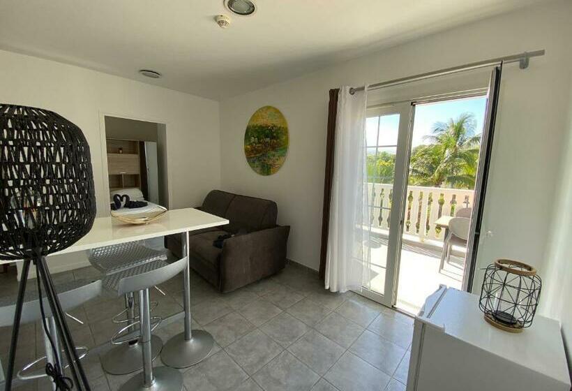 آپارتمان 2 خوابه, Lindsey Hôtel