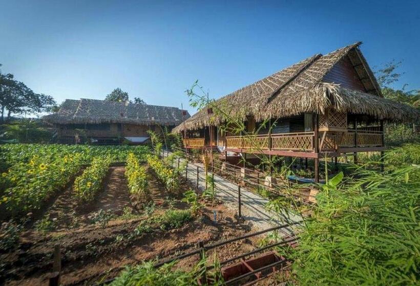 ویلای استاندارد با چشم‌انداز باغ, Queen Jamadevi