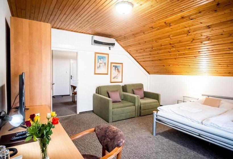 آپارتمان 1 خوابه با بالکن, Squash Centrum