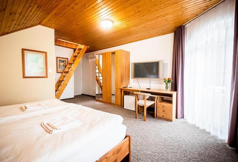 اتاق دوبلکس, Squash Centrum