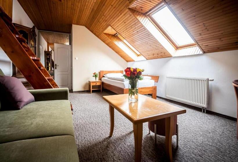 اتاق دوبلکس, Squash Centrum