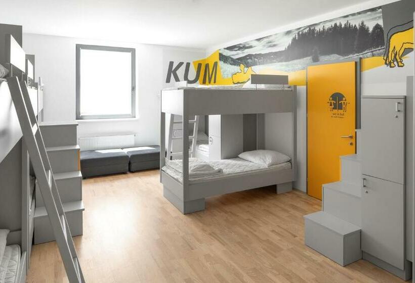 تختخواب در اتاق مشترک, Youth Hostel Trbovlje