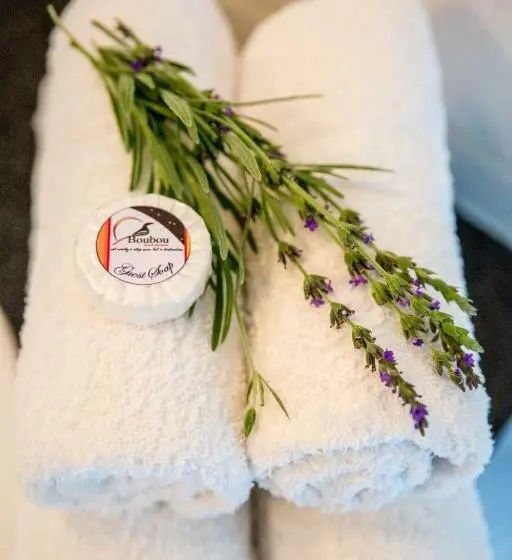 اتاق استاندارد با چشمانداز باغ, Boubou Bed And Breakfast
