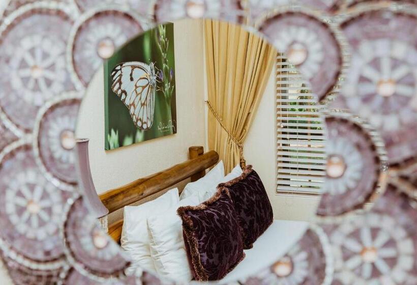 带园景的单人房, Boubou Bed And Breakfast