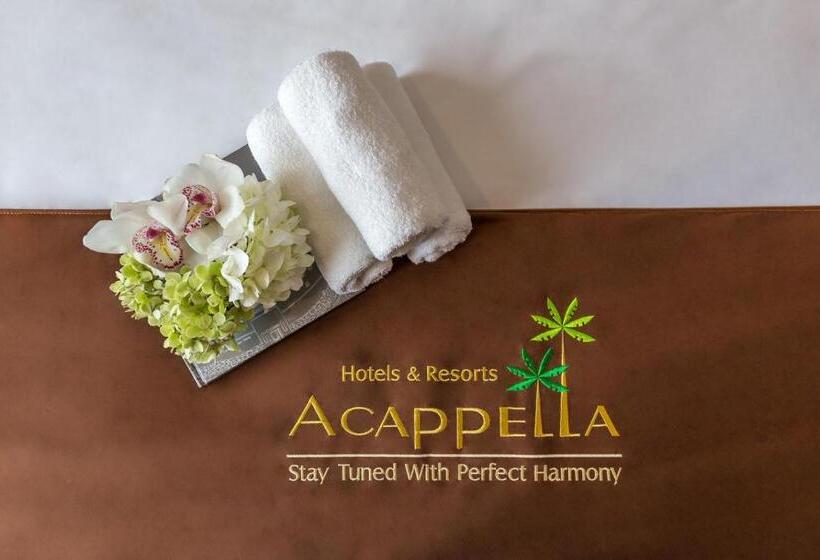 수피리어 스위트, Acappella Suite