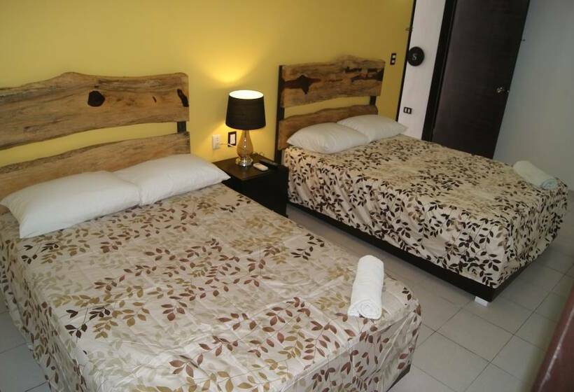 חדר סופריור, Casaia