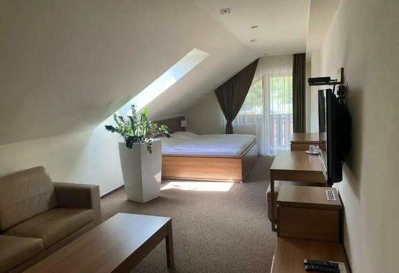 Standard-huone, Pension Tatrasport Zampa