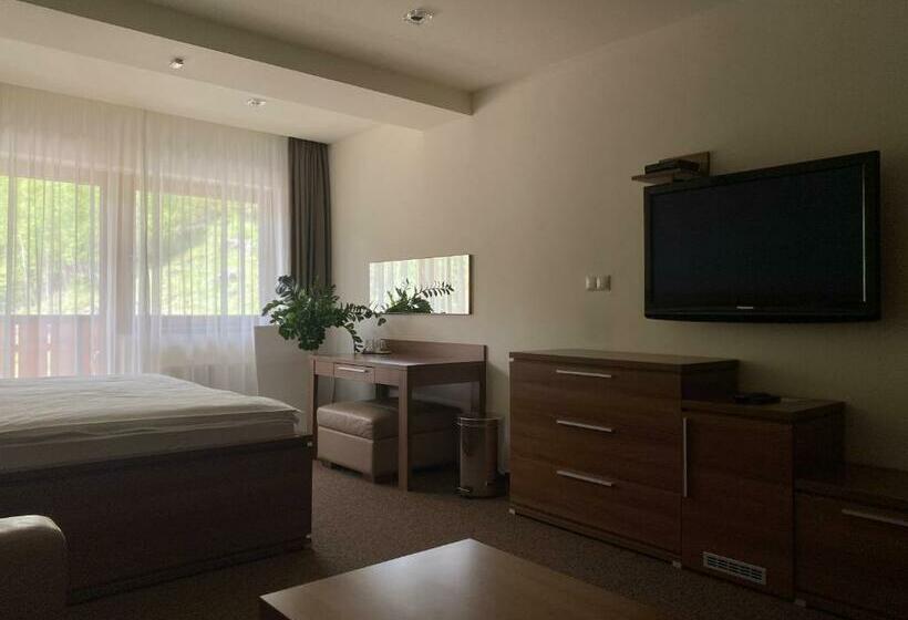 غرفة قياسية, Pension Tatrasport Zampa