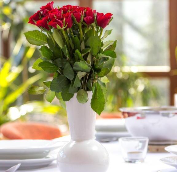 一居室别墅, Villa Tatry Stola