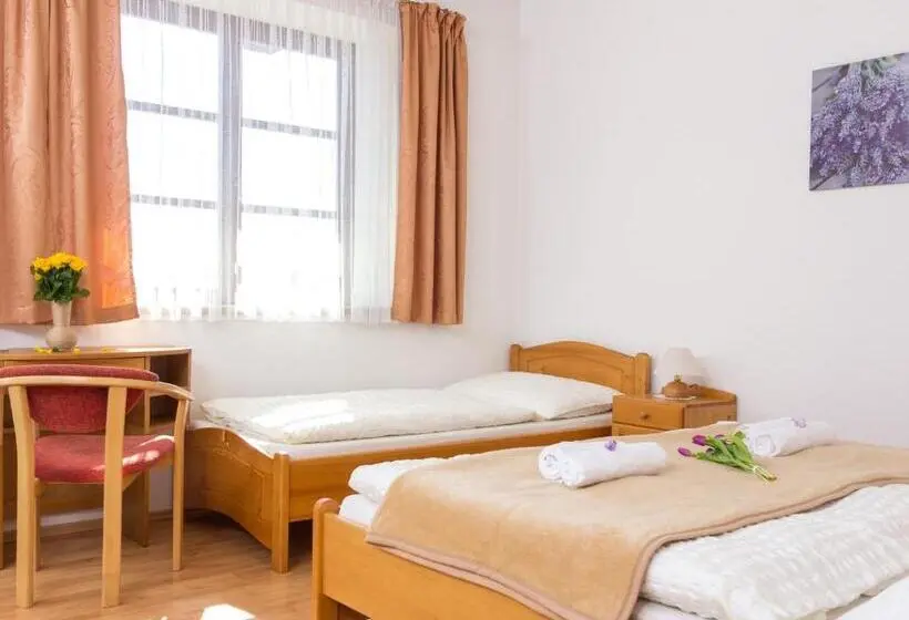 Standard Kolmen Hengen Huone, Villa Tatry Stola
